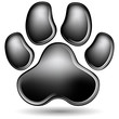 Scratchboard Paw Print