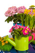Flowers at the table