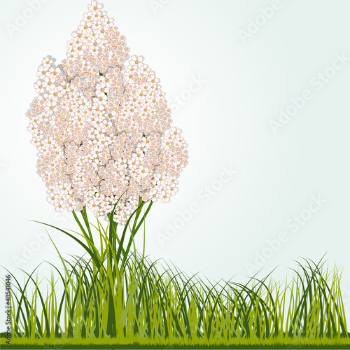 Vector: Small flowers Small flowers