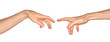 The Creation of Adam