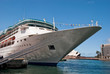 Big White Cruise in Sydney Harbour