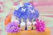 Beautiful Cupcakes Set