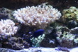 water world aquarium