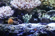 water world aquarium
