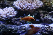 water world aquarium