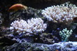 water world aquarium