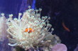 water world aquarium