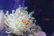 water world aquarium