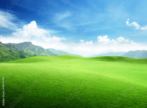 Photo: field of grass in mountain field of grass in mountain