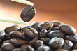 Close up of a coffee bean with focus on one