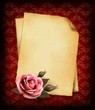Retro background with beautiful pink rose and old paper. Vector