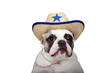 Photo: The New Sherriff In Town The New Sherriff In Town