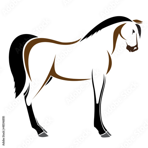 Vector: Vector image of an horse on white background Vector image of an horse on white background