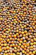 Colorful betel nut