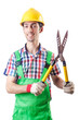 Man gardener with shears on white