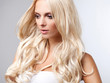 Photo: Blonde Hair. High quality image. Blonde Hair. High quality image.