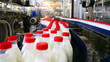 many bottles milk with red caps move in row on conveyor
