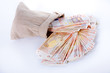 Euro notes out of a money bag over white background