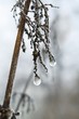 Eisperlen / icepearls