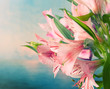 Beautiful flowers background