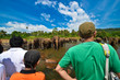 Elephants in the river