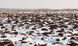 canvas print picture Field in winter