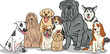 purebred dogs group cartoon illustration