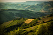 colline marchigiane