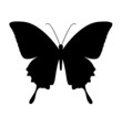 Illustration : butterfly, black silhouettes on white background butterfly, black silhouettes on white background