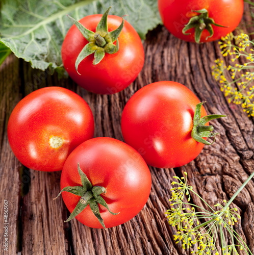 Photo: Tomatoes, cooked with herbs for the preservation Tomatoes, cooked with herbs for the preservation