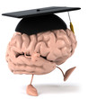 Fun brain