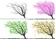 Tree Silhouette Winter, Sprint...