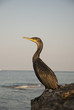 Photo: By the sea By the sea