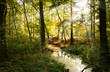 Photo: Landschaft 230 Landschaft 230