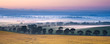 Valley Mist