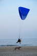 Paraglider - Feeling free