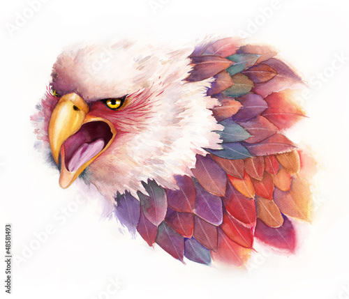 Photo: Watercolor Eagle Watercolor Eagle