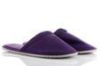 A pair of purple slippers