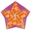 star symbol vector