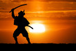 Samurai on sunset