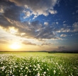 Beautiful landscape