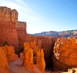 Bryce