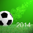 Fussball-WM 2014