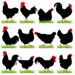 Vector: 12 Roosters and Hans Silhouettes 12 Roosters and Hans Silhouettes