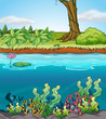 A river
