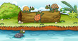 Turtles on a dry wood