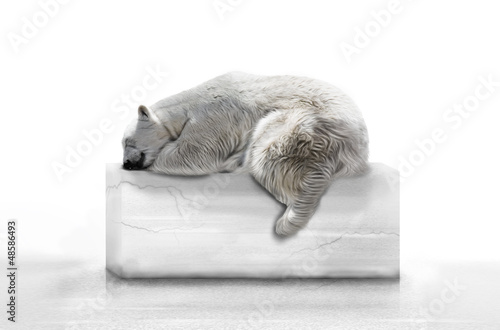 Illustration: Der Eisbär auf dem Klotz Der Eisbär auf dem Klotz