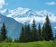 Mont Blanc mountain massif (view from Plaine Joux outskirts)