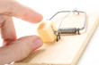 mousetrap