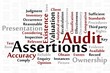 Audit Assertions word cloud with data sheet background